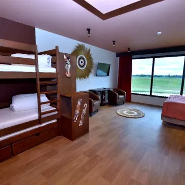 Dormir avec les Lions à la Lumigny Safari Réserve