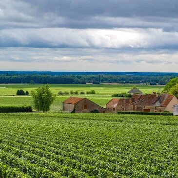 Vol en Montgolfière au Château de Rully - Vignobles de Bourgogne