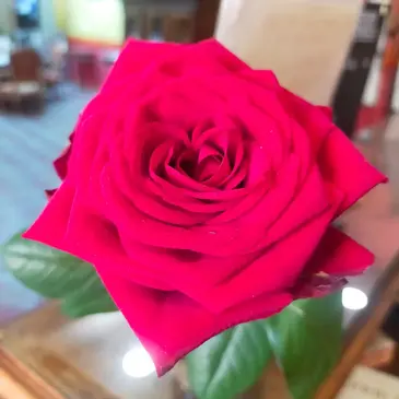 Week End Spa à Buis-les-Baronnies