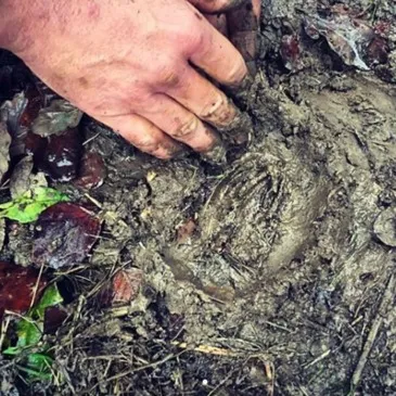 Week-End Stage de Survie près de Sisteron