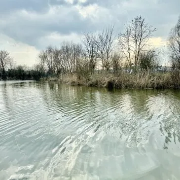 Nuit Insolite en House Boat au Bord de la Moselle