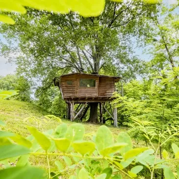 Cabane dans les Arbres avec Sauna près de Bayonne