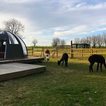 Nuit Insolite en Dôme près d'Étretat