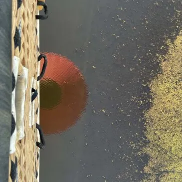 Vol en Montgolfière - Survol de la Loire