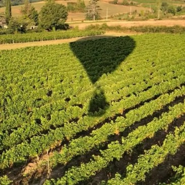 Vol en Montgolfière à Gaillac - Survol du Tarn