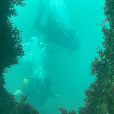 Baptême de Plongée à Noirmoutier
