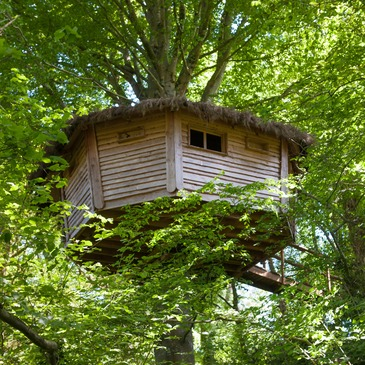 Cabane dans les Arbres à Savigny près de Saint-Lô