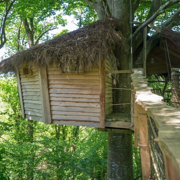 Cabane dans les Arbres à Savigny près de Saint-Lô