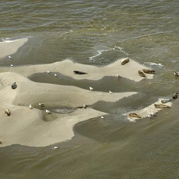 Baptême en Planeur près du Tréport - La Baie de Somme