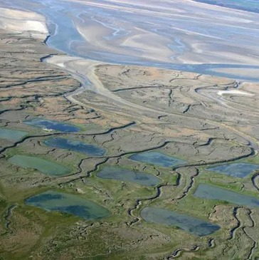 Baptême en Planeur près du Tréport - La Baie de Somme