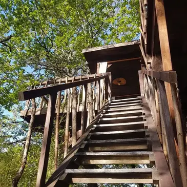 Cabane dans les Arbres avec Spa près du Bassin d'Arcachon
