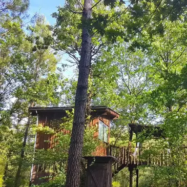 Cabane dans les Arbres avec Spa près du Bassin d'Arcachon