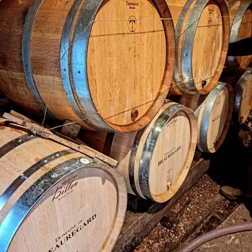 Visite et Dégustation de Vin près de Beaune