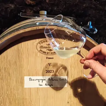 Visite et Dégustation de Vin près de Beaune