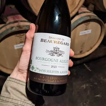 Visite et Dégustation de Vin près de Beaune