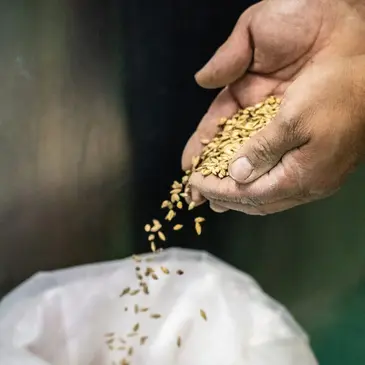 Atelier de Brassage de Bière à Aubusson