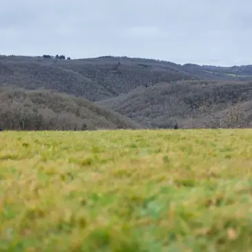 Tiny House avec Bain Nordique à Saint-Mesmin