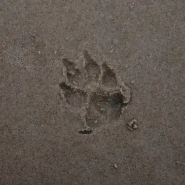 Week End Stage de Survie près de Lorient