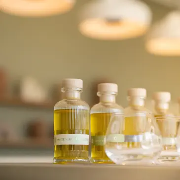 Atelier Fabrication d'Huile D'Olive dans les Alpilles