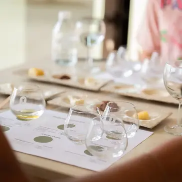 Atelier Fabrication d'Huile D'Olive dans les Alpilles