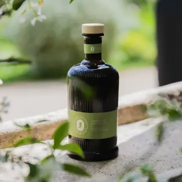 Atelier Fabrication d'Huile D'Olive dans les Alpilles