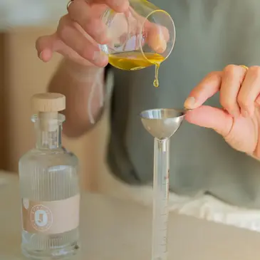 Atelier Fabrication d'Huile D'Olive dans les Alpilles