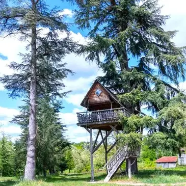 Nuit en Cabane dans les Arbres au Cœur de l'Armagnac