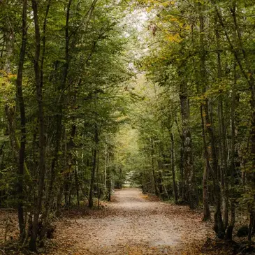 Nuit Insolite en Lodge au Repère Sauvage près de Vendôme