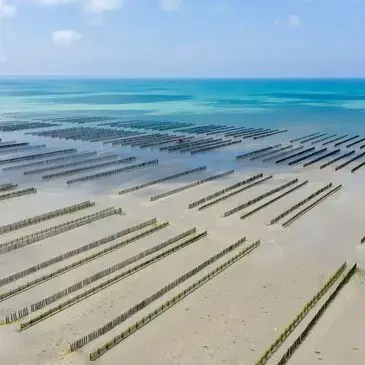 Baptême en Hélicoptère à Lannion - La Côte de Granit Rose