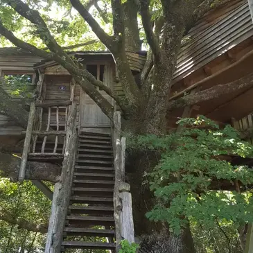 Cabane dans les Arbres à Sexcles