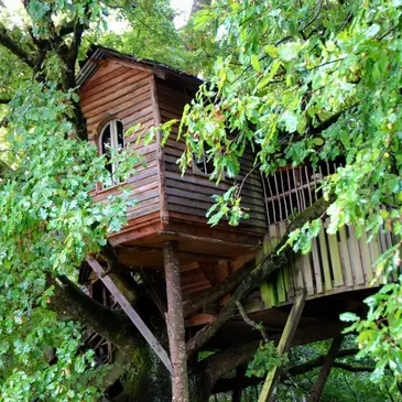 Cabane dans les Arbres à Sexcles