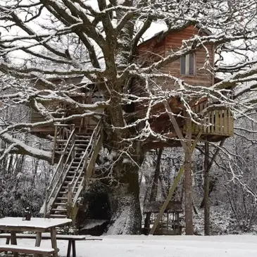 Cabane dans les Arbres à Sexcles