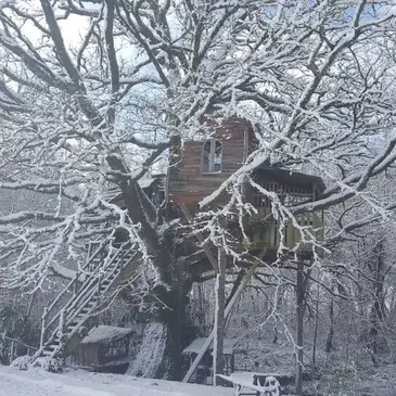 Cabane dans les Arbres à Sexcles