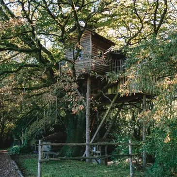Cabane dans les Arbres à Sexcles