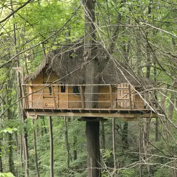 Cabane dans les Arbres à Saint-Germain-des-Essourts