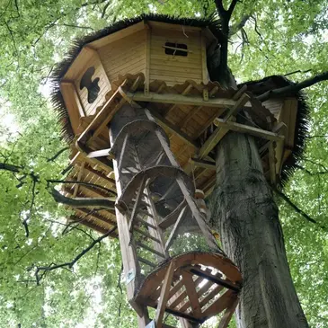 Cabane dans les Arbres à Saint-Germain-des-Essourts