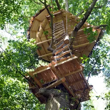 Cabane dans les Arbres à Saint-Germain-des-Essourts
