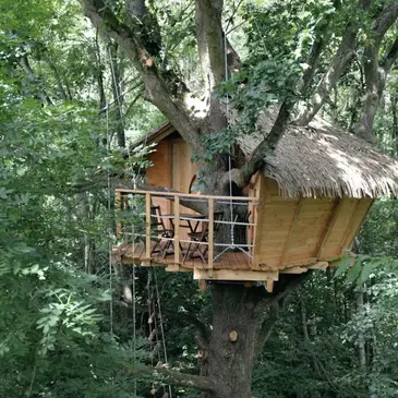 Cabane dans les Arbres à Saint-Germain-des-Essourts