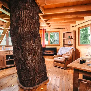 Cabane dans les Arbres avec Spa près de Dinan
