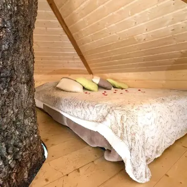 Cabane dans les Arbres avec Spa près de Dinan