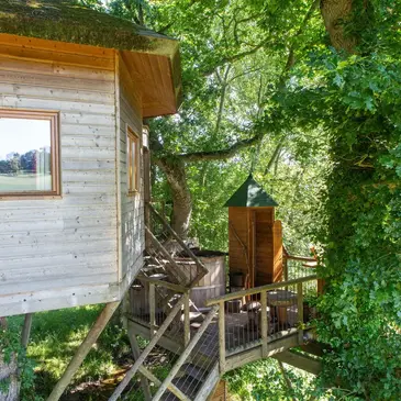 Cabane dans les Arbres avec Spa près de Dinan