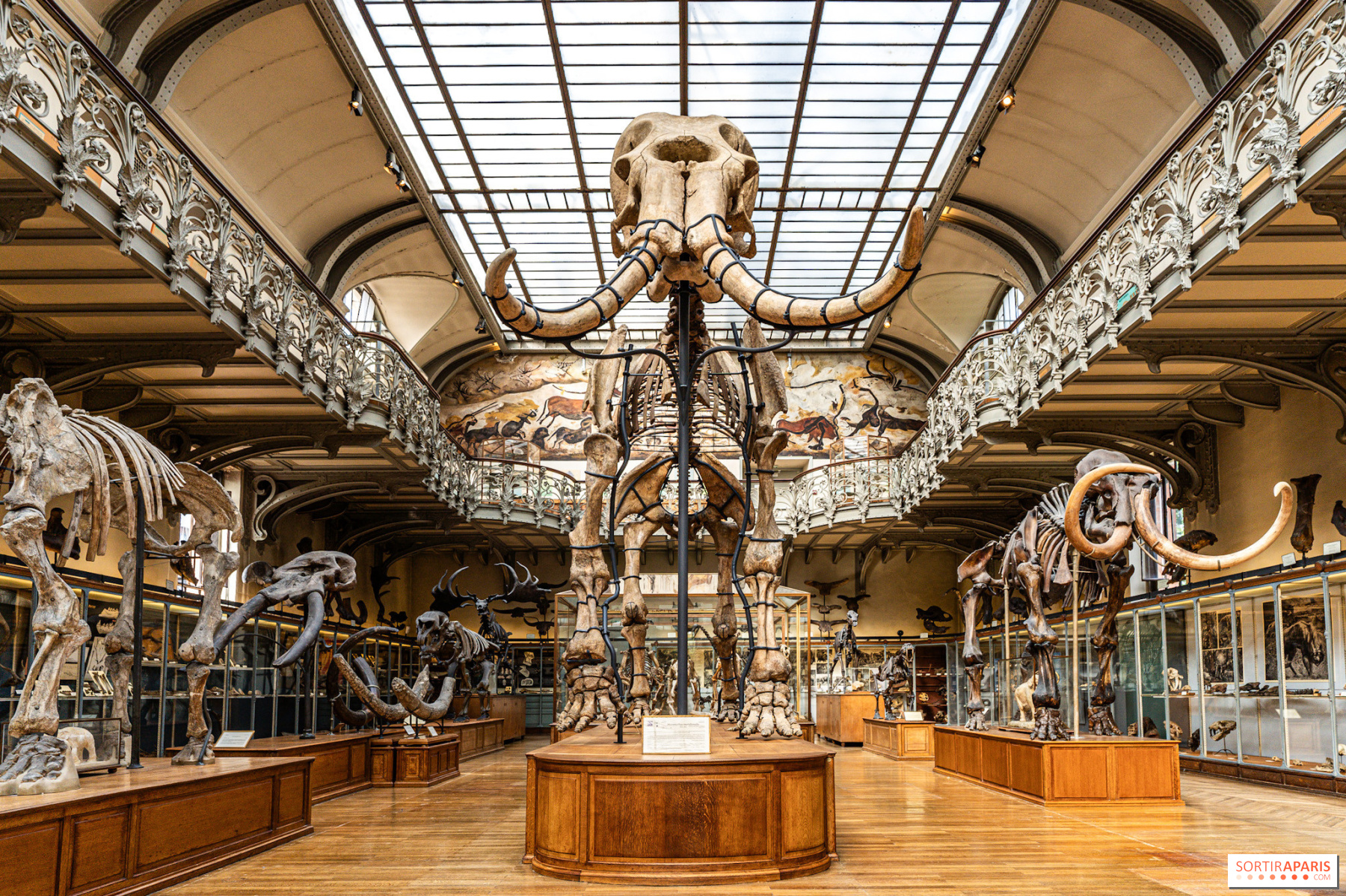 Muséum national d'Histoire naturelle