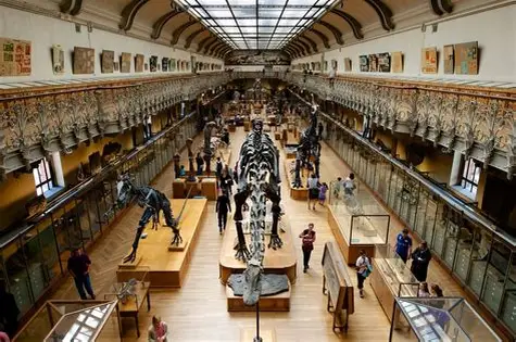 Muséum national d'Histoire naturelle