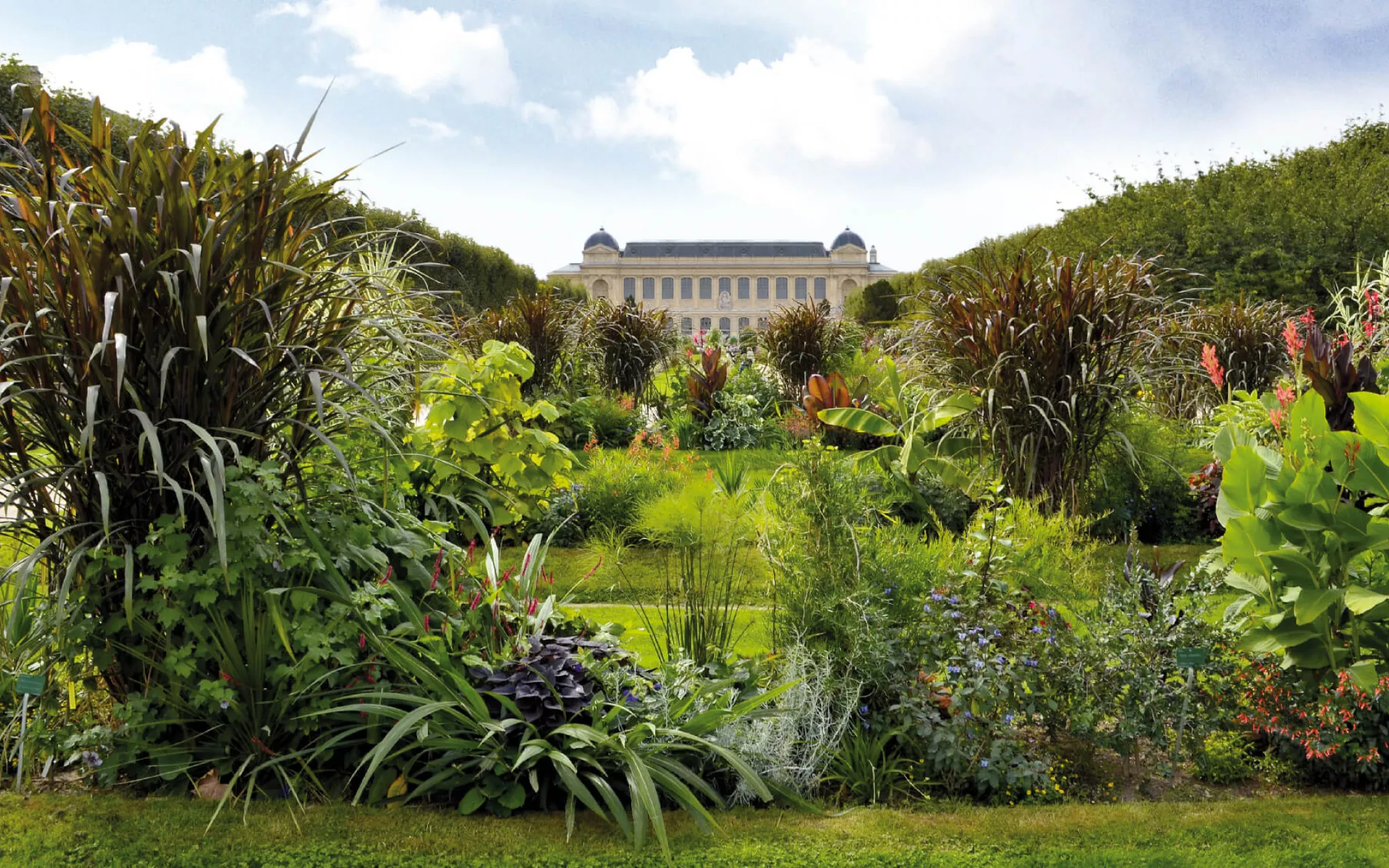 Le jardin des Plantes