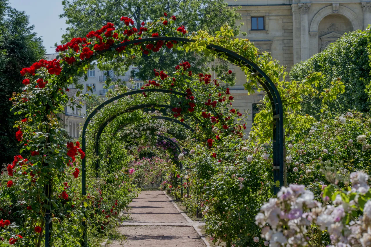 Le jardin des Plantes