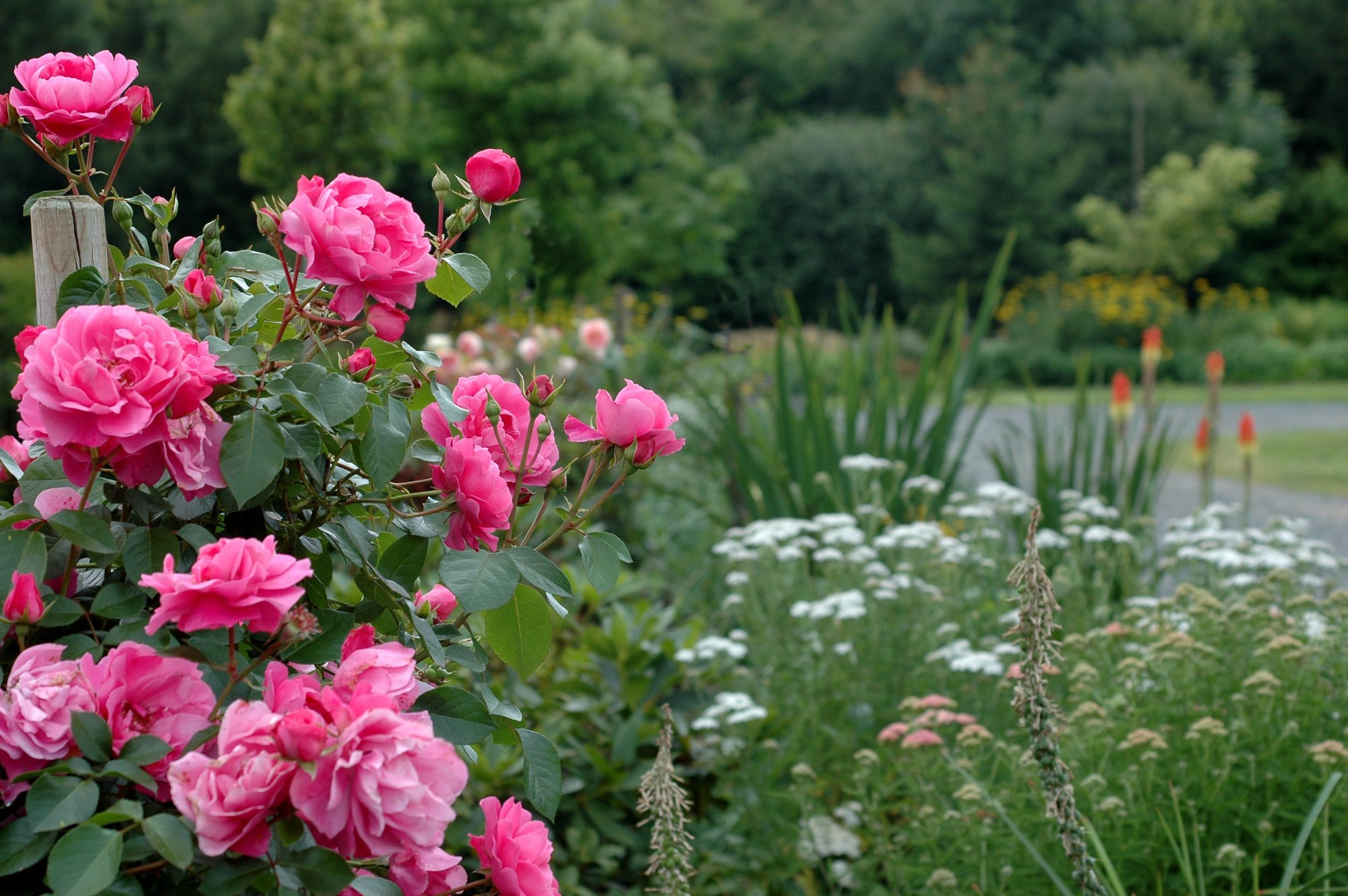 Manoir de Clairefontaine