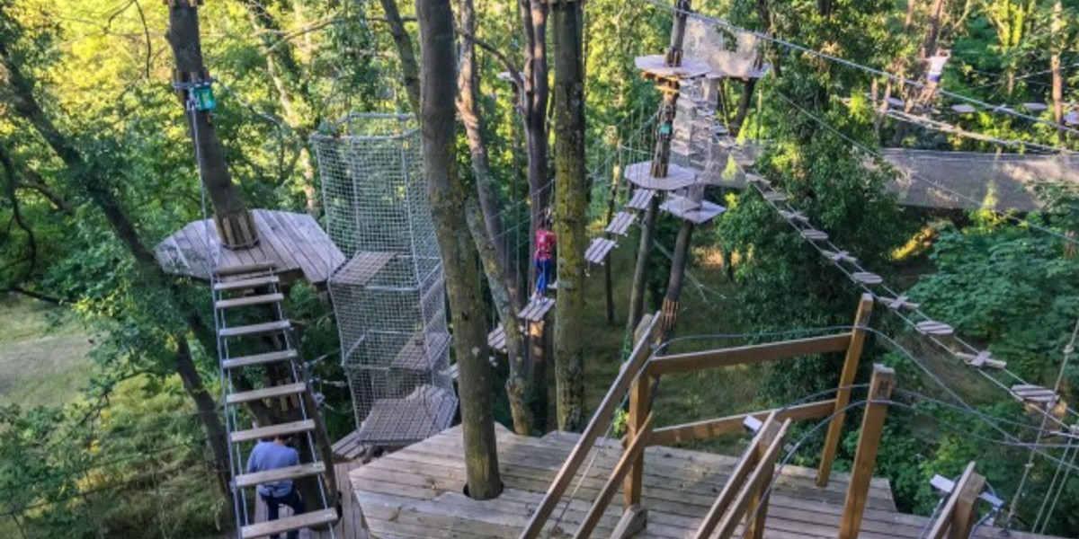AccroCamp : Forêt de Meudon