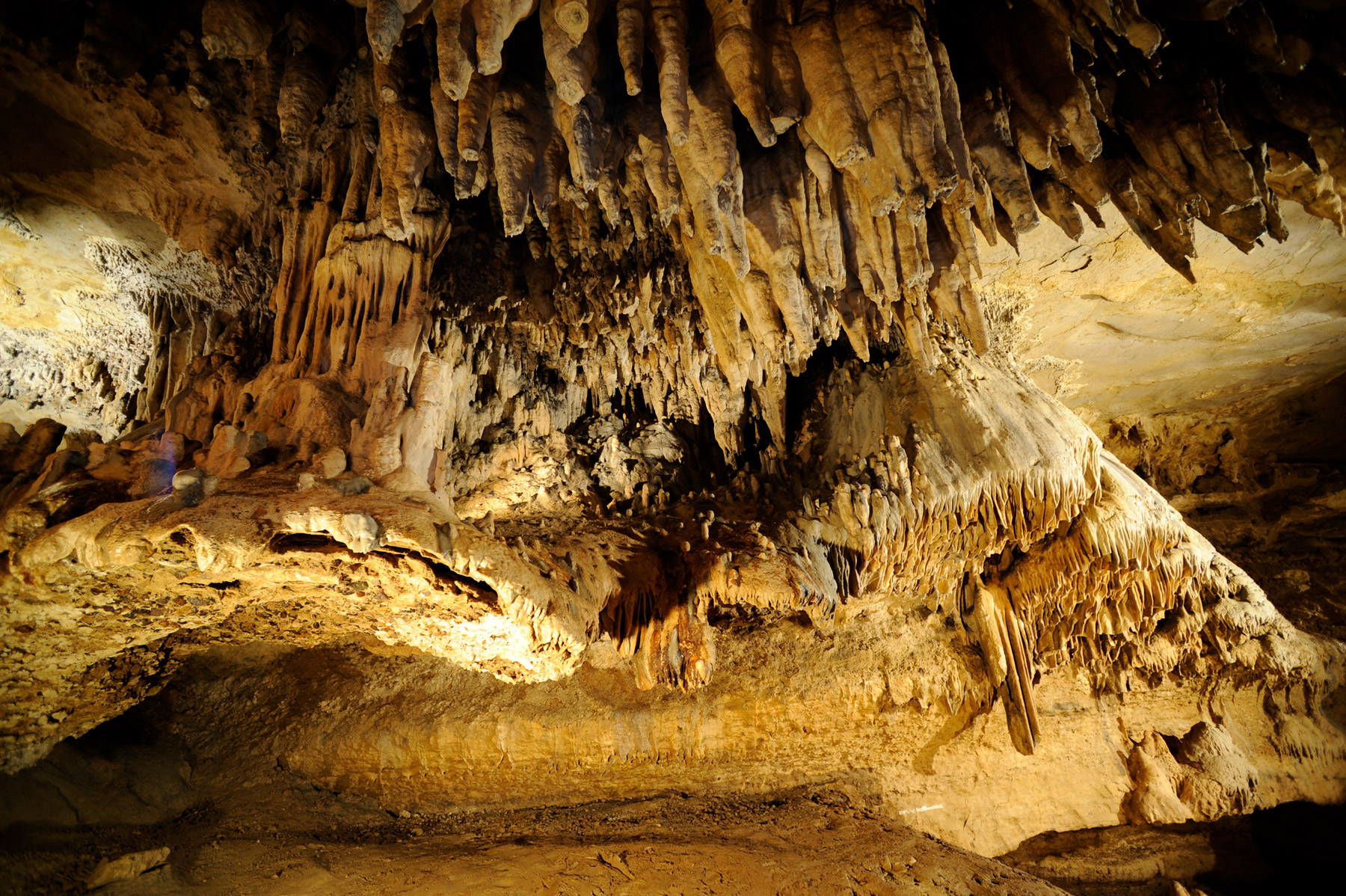 Grottes préhistoriques d' Arcy