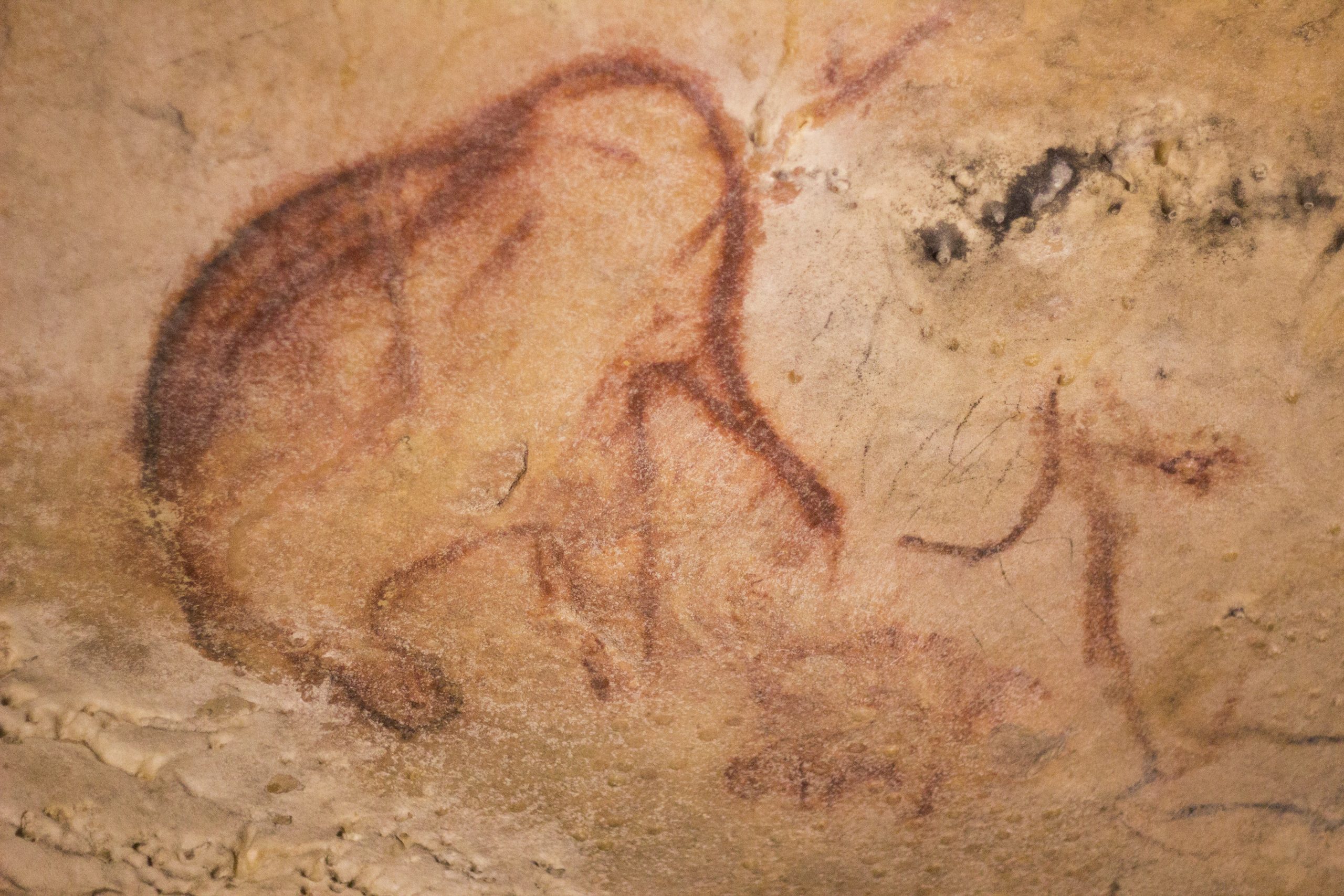 Grottes préhistoriques d' Arcy