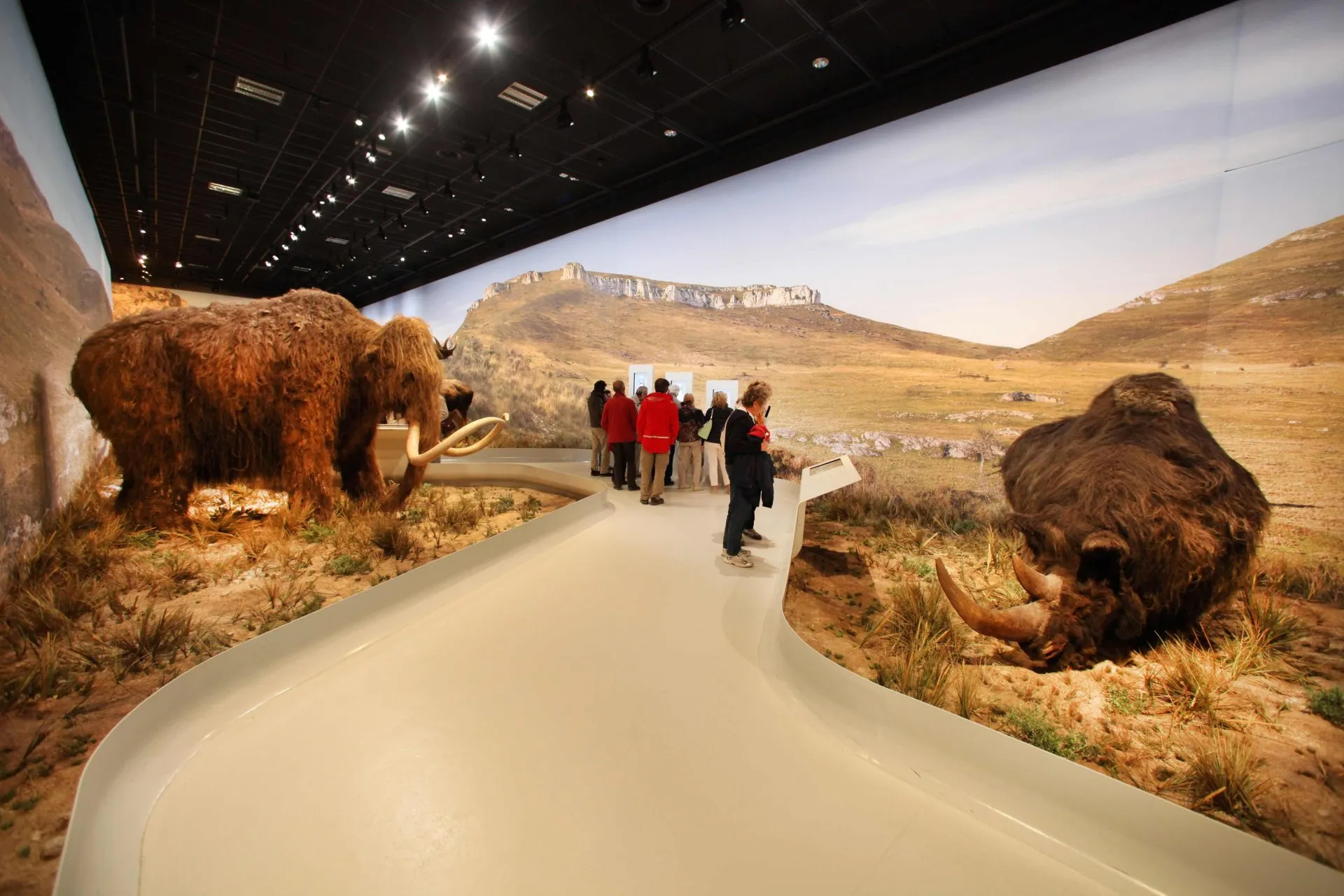 Espace de restitution Grotte Chauvet 2 Ardèche